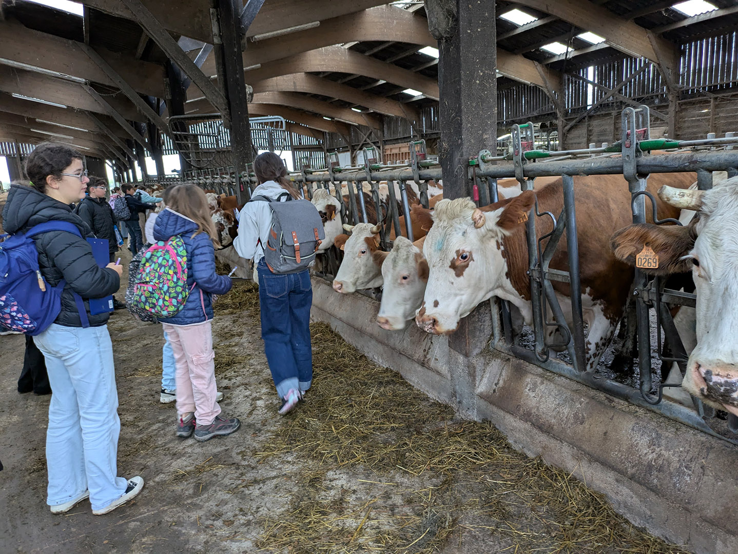 2026_10_29_Ferme 05