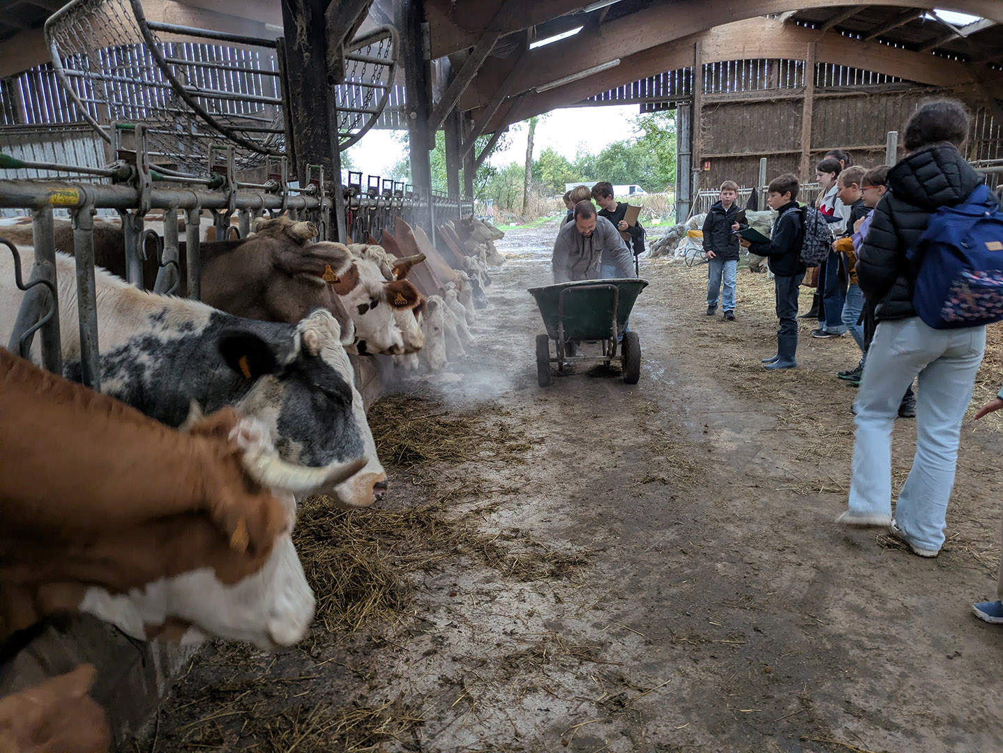 2026_10_29_Ferme 07